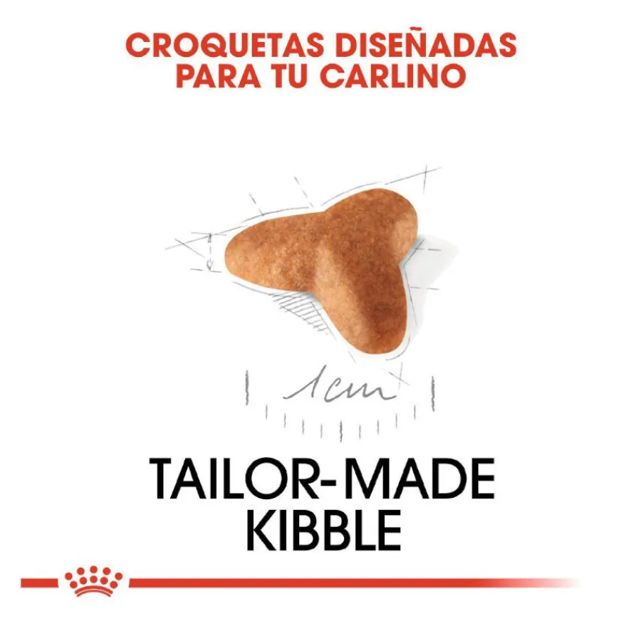 Royal Canin Puppy Pug pienso para perros Sale