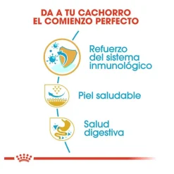 Royal Canin Puppy Pug pienso para perros Sale
