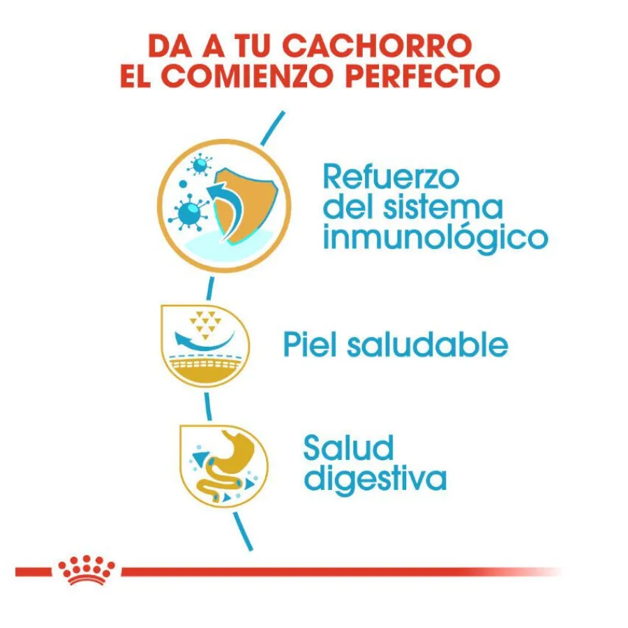 Royal Canin Puppy Pug pienso para perros Sale
