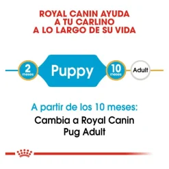 Royal Canin Puppy Pug pienso para perros Sale