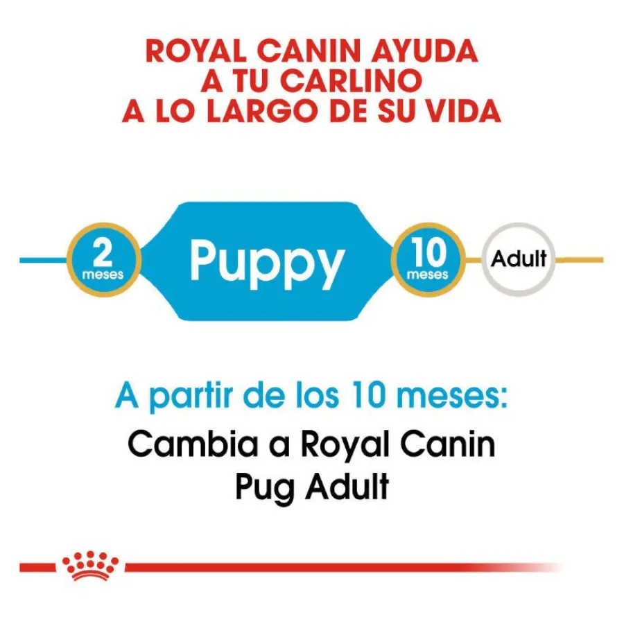 Royal Canin Puppy Pug pienso para perros Sale