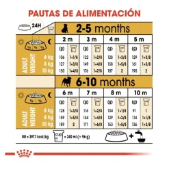 Royal Canin Puppy Pug pienso para perros Sale