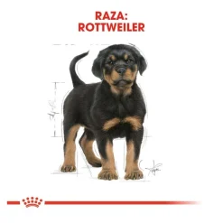 Royal Canin Puppy Rottweiler pienso para perros