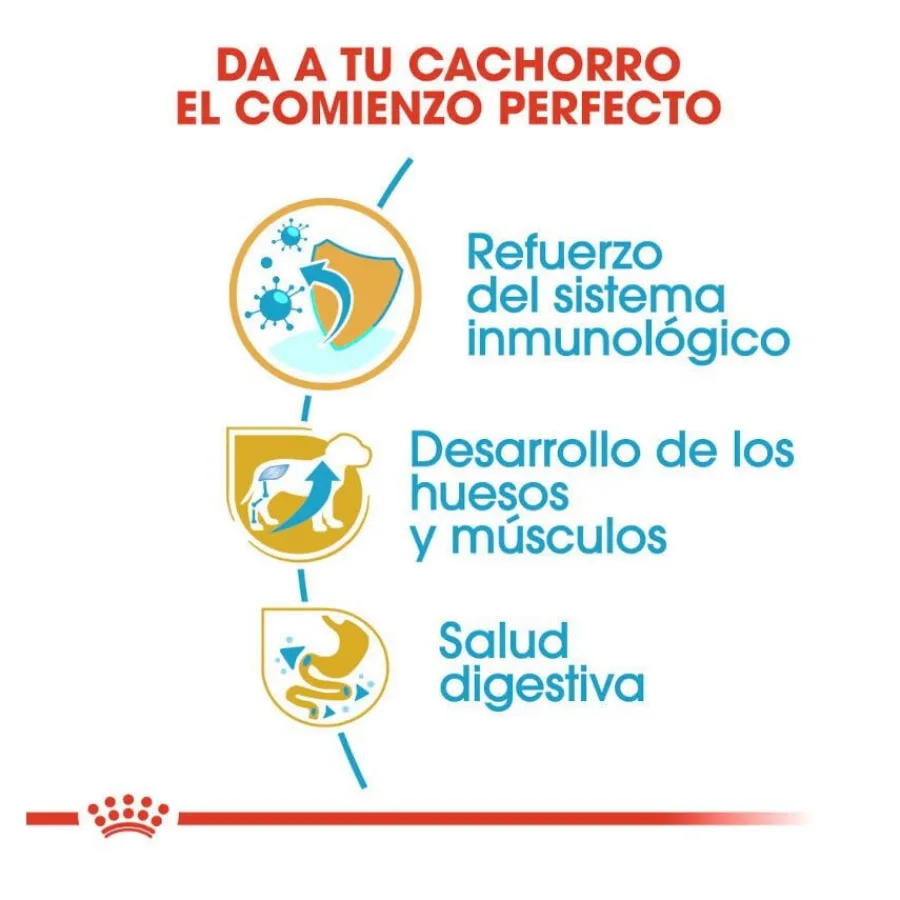 Royal Canin Puppy Rottweiler pienso para perros