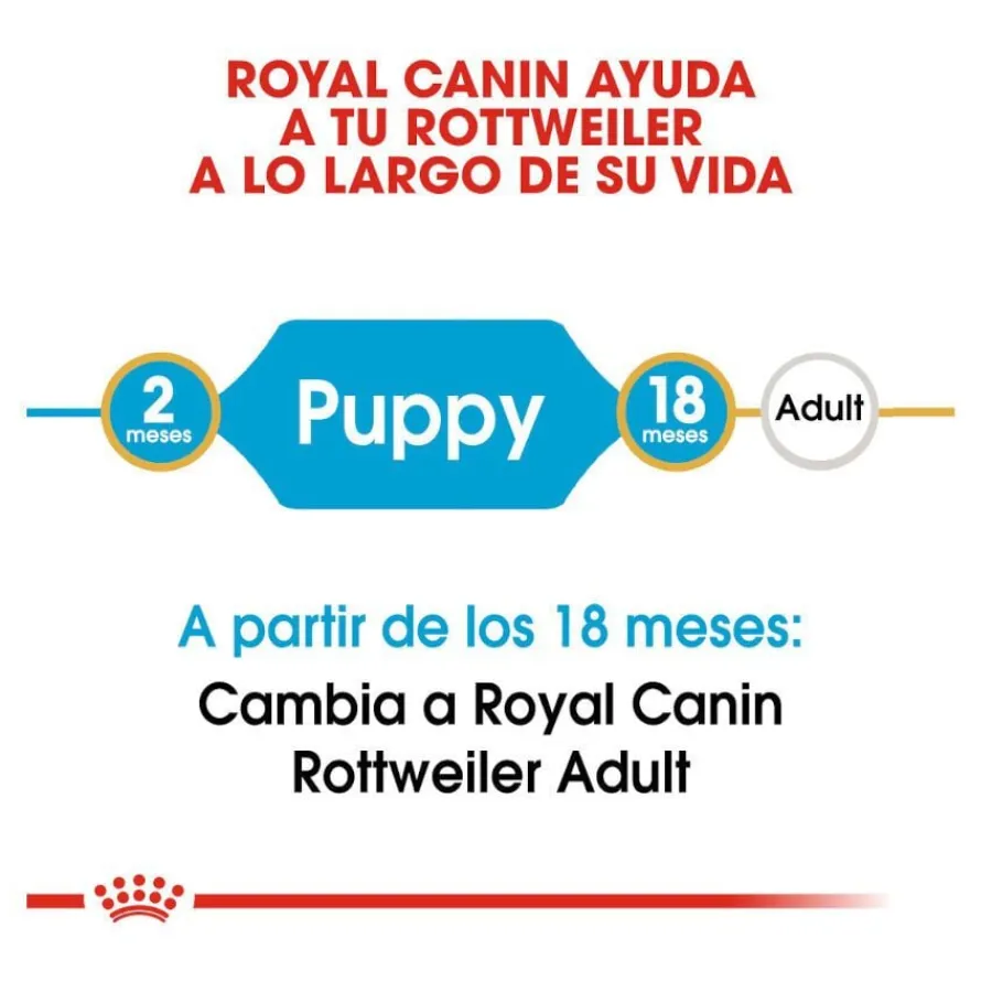 Royal Canin Puppy Rottweiler pienso para perros