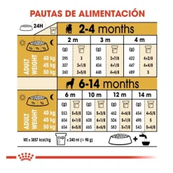 Royal Canin Puppy Rottweiler pienso para perros