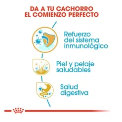 Royal Canin Puppy Shih Tzu pienso para perros Clearance