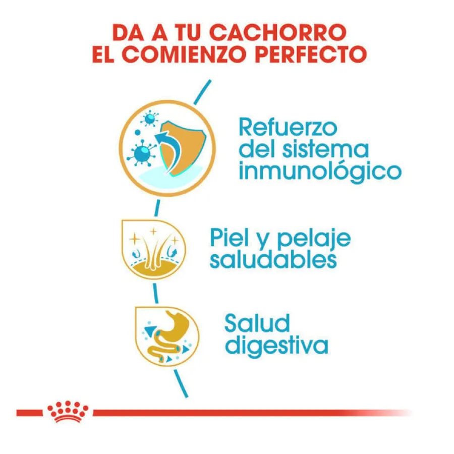 Royal Canin Puppy Shih Tzu pienso para perros Clearance