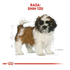 Royal Canin Puppy Shih Tzu pienso para perros Clearance