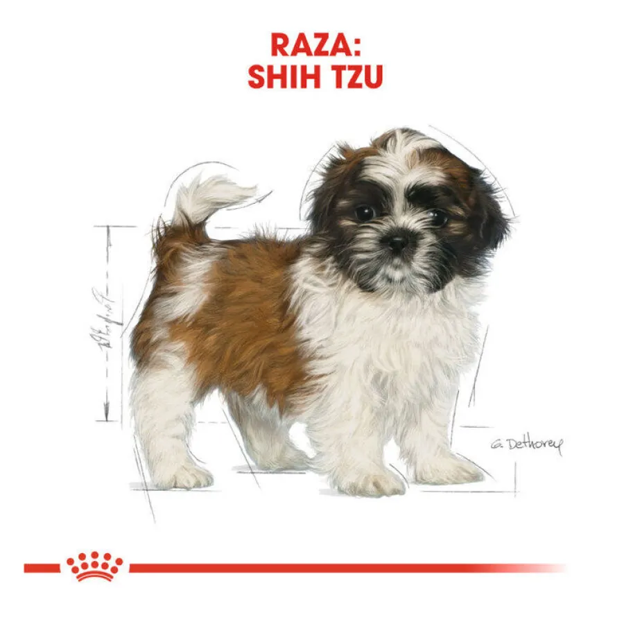 Royal Canin Puppy Shih Tzu pienso para perros Clearance
