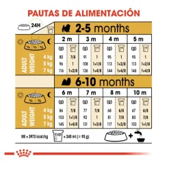 Royal Canin Puppy Shih Tzu pienso para perros Clearance
