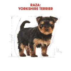 Royal Canin Puppy Yorkshire Terrier pienso para cachorros Outlet