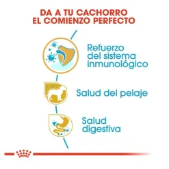 Royal Canin Puppy Yorkshire Terrier pienso para cachorros Outlet
