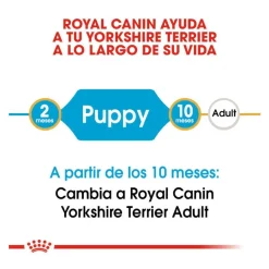 Royal Canin Puppy Yorkshire Terrier pienso para cachorros Outlet