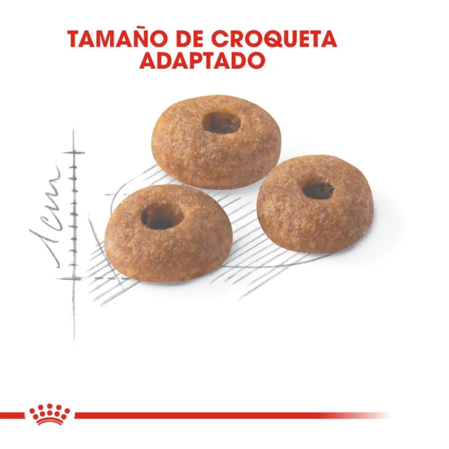 Royal Canin Regular Fit 32 pienso para gatos Discount