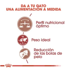 Royal Canin Regular Fit 32 pienso para gatos Discount