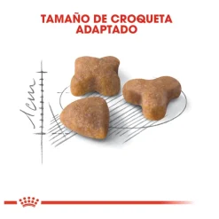 Royal Canin Regular Sensible 33 pienso para gatos Clearance