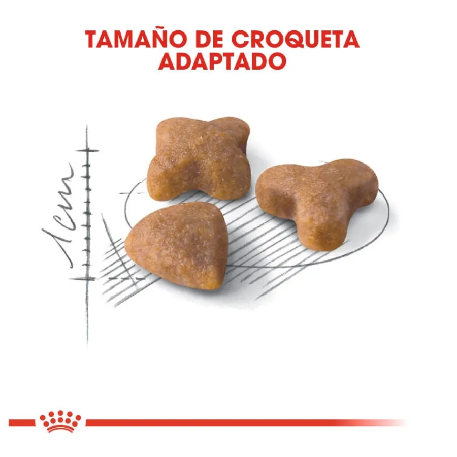 Royal Canin Regular Sensible 33 pienso para gatos Clearance