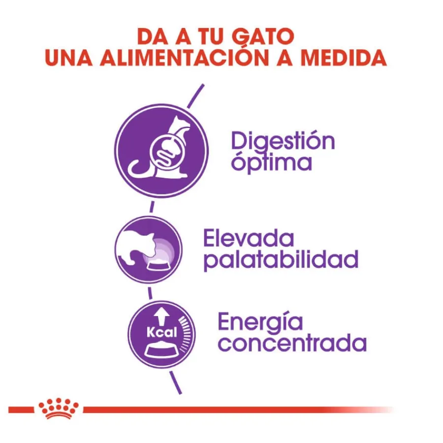 Royal Canin Regular Sensible 33 pienso para gatos Clearance