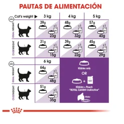 Royal Canin Regular Sensible 33 pienso para gatos Clearance