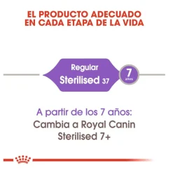 Royal Canin Regular Sterilised 37 pienso para gatos Sale