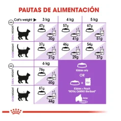 Royal Canin Regular Sterilised 37 pienso para gatos Sale