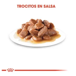 Royal Canin Senior 7+ Instinctive sobres para gatos Sale