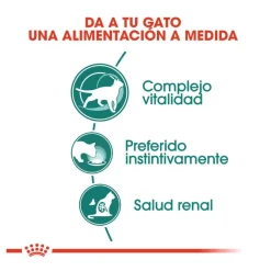 Royal Canin Senior 7+ Instinctive sobres para gatos Sale
