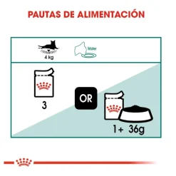 Royal Canin Senior 7+ Instinctive sobres para gatos Sale