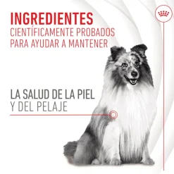 Royal Canin Skin & Coat Chews Adult Suplemento nutricional para perros Outlet