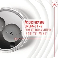 Royal Canin Skin & Coat Chews Adult Suplemento nutricional para perros Outlet