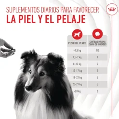 Royal Canin Skin & Coat Chews Adult Suplemento nutricional para perros Outlet