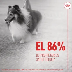 Royal Canin Skin & Coat Chews Adult Suplemento nutricional para perros Outlet