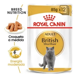 Royal Canin Sobre en Salsa British Shorthair Adult New