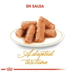 Royal Canin Sobre en Salsa British Shorthair Adult New
