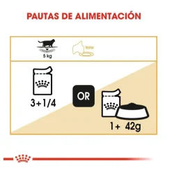 Royal Canin Sobre en Salsa British Shorthair Adult New