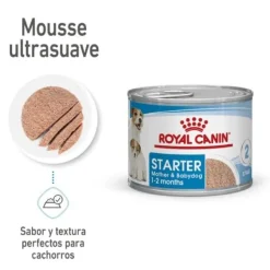 Royal Canin Starter Mommy & Baby mousse latas para perros