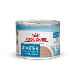 Royal Canin Starter Mommy & Baby mousse latas para perros