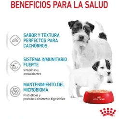Royal Canin Starter Mommy & Baby mousse latas para perros