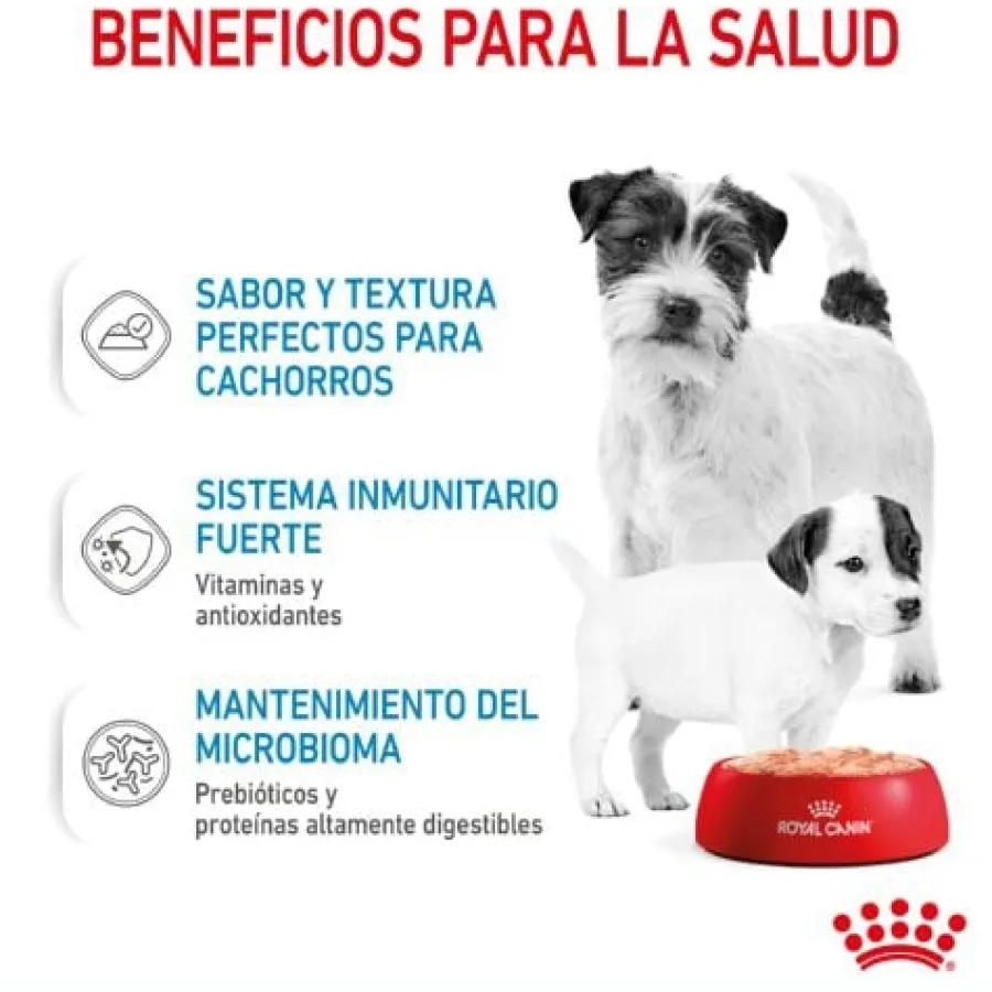 Royal Canin Starter Mommy & Baby mousse latas para perros
