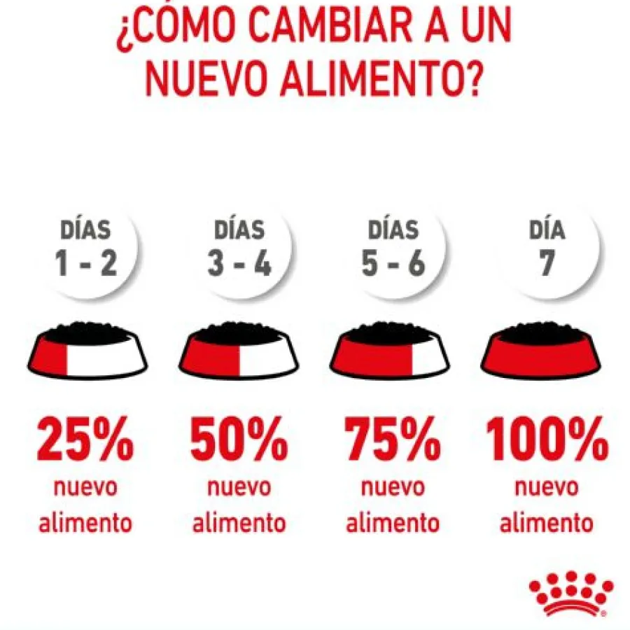 Royal Canin Starter Mommy & Baby mousse latas para perros