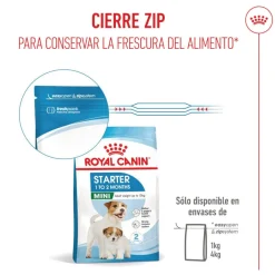 Royal Canin Starter MotheryBaby Mini pienso para perros Online