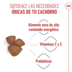Royal Canin Starter MotheryBaby Mini pienso para perros Online