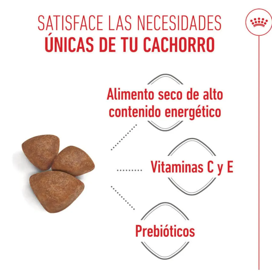 Royal Canin Starter MotheryBaby Mini pienso para perros Online