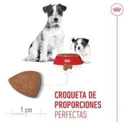 Royal Canin Starter MotheryBaby Mini pienso para perros Online