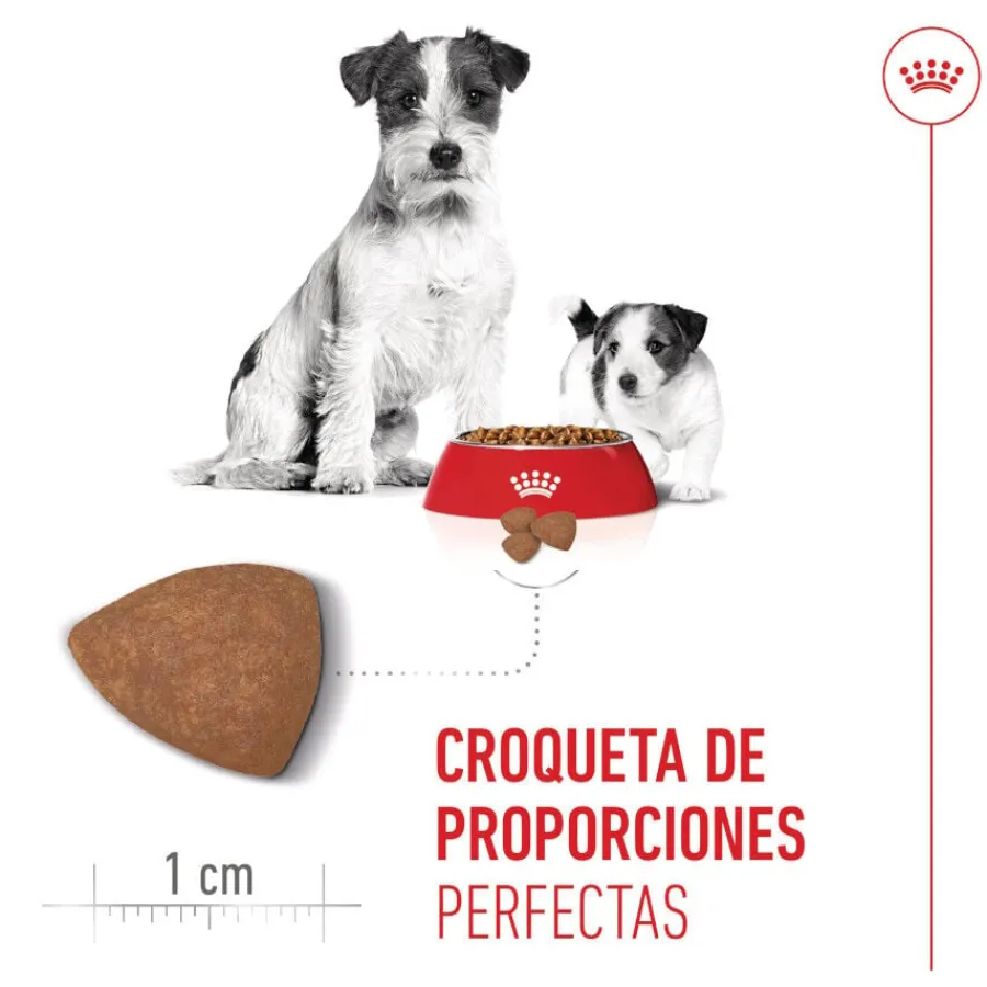 Royal Canin Starter MotheryBaby Mini pienso para perros Online