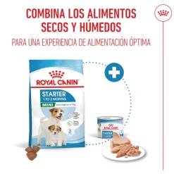 Royal Canin Starter MotheryBaby Mini pienso para perros Online