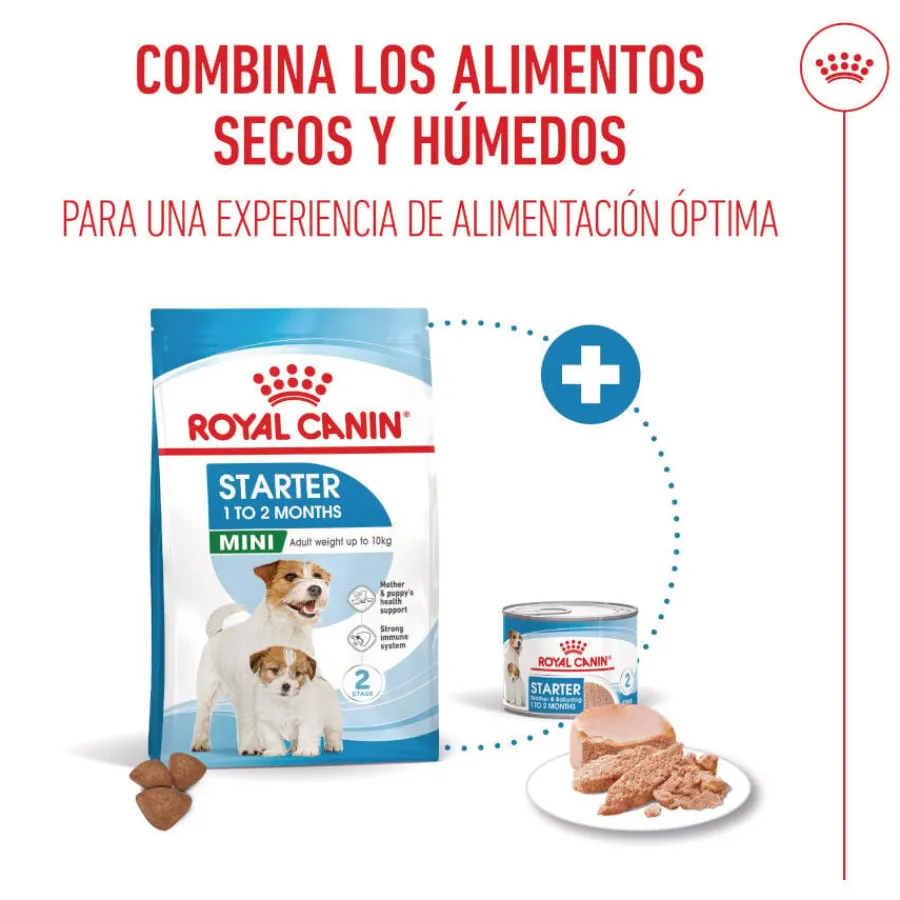 Royal Canin Starter MotheryBaby Mini pienso para perros Online