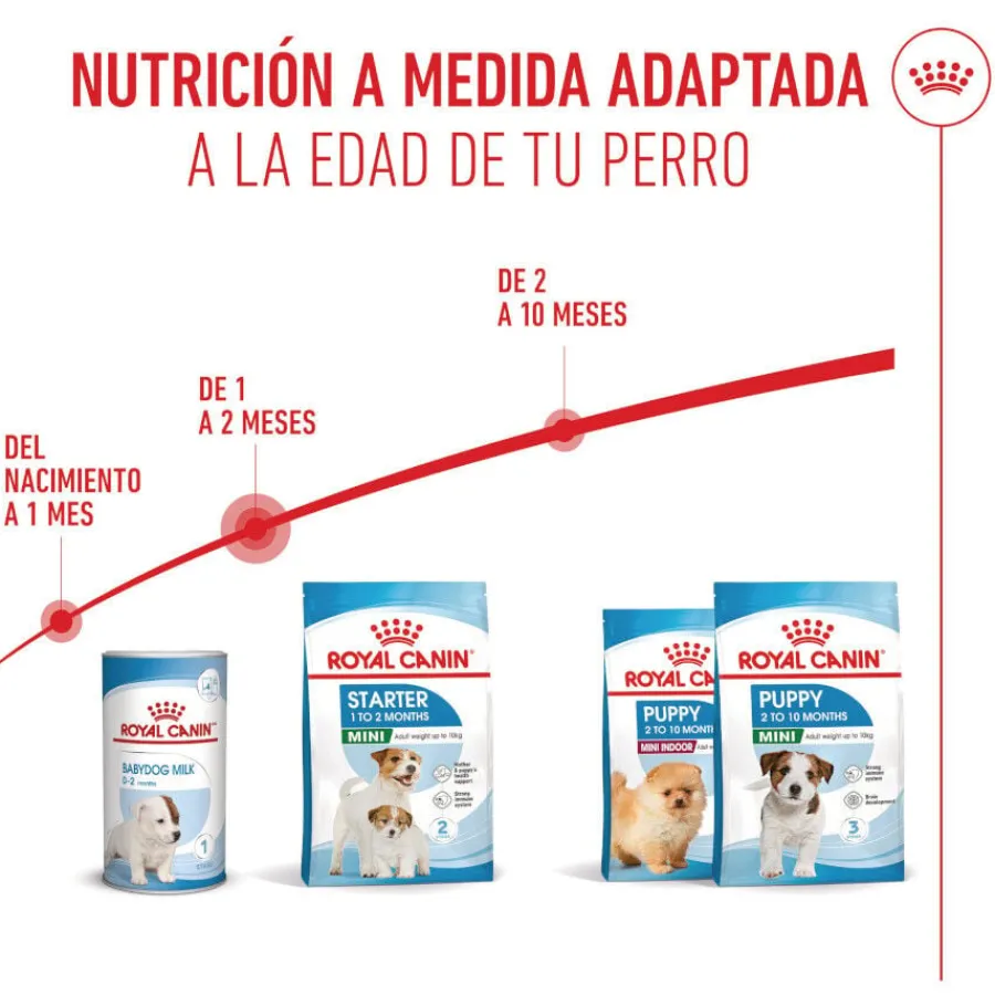 Royal Canin Starter MotheryBaby Mini pienso para perros Online