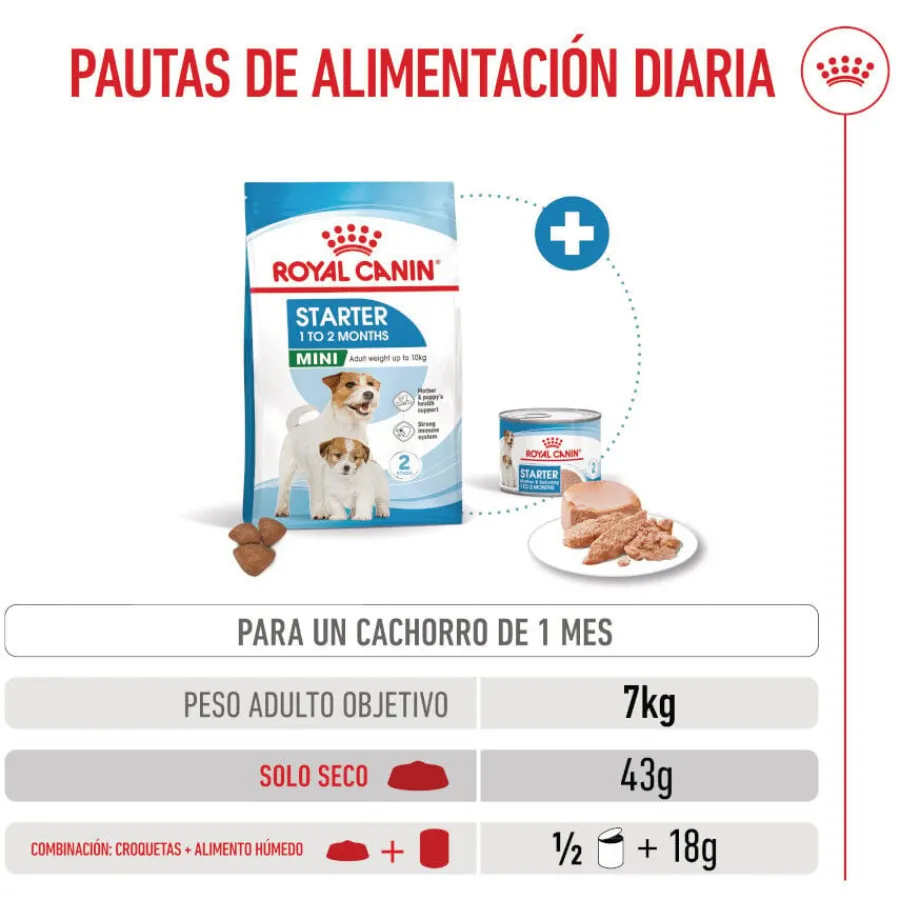 Royal Canin Starter MotheryBaby Mini pienso para perros Online